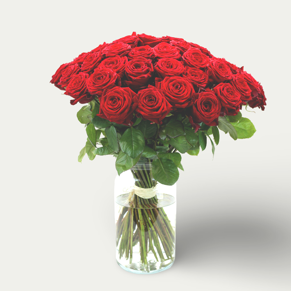 50 Rosen in rot