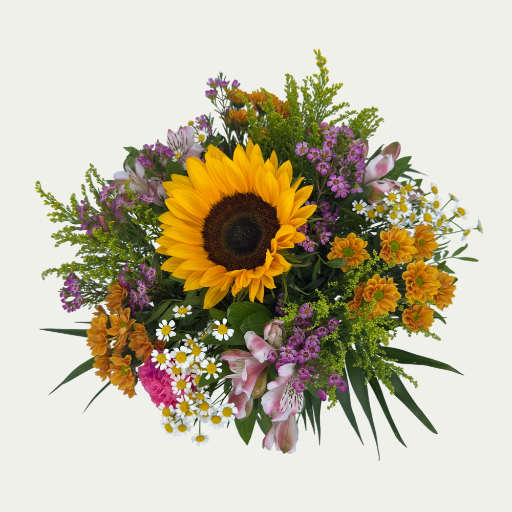 Sommergruss