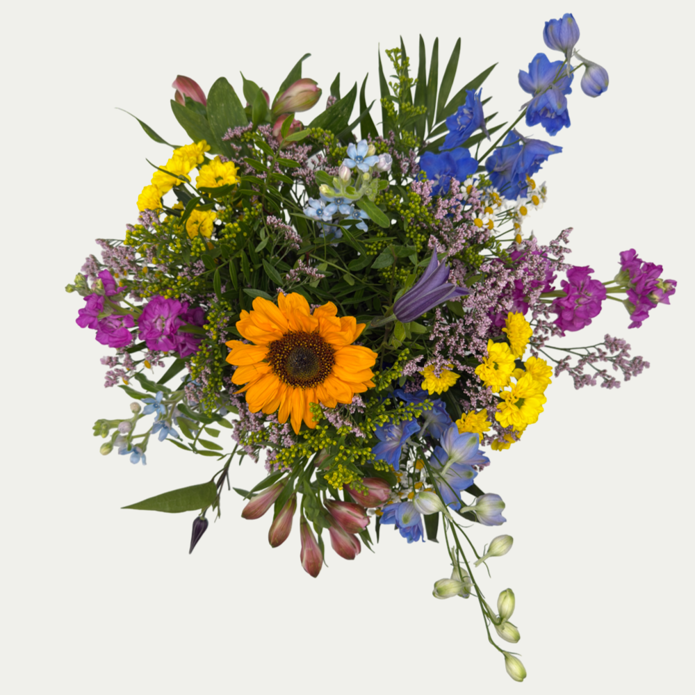 Bunte Sommerwiese