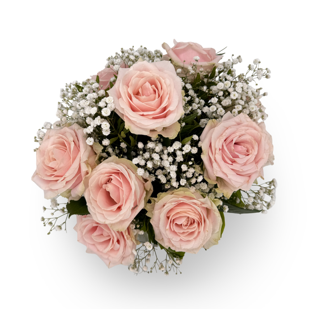 Rosa Zärtlichkeit