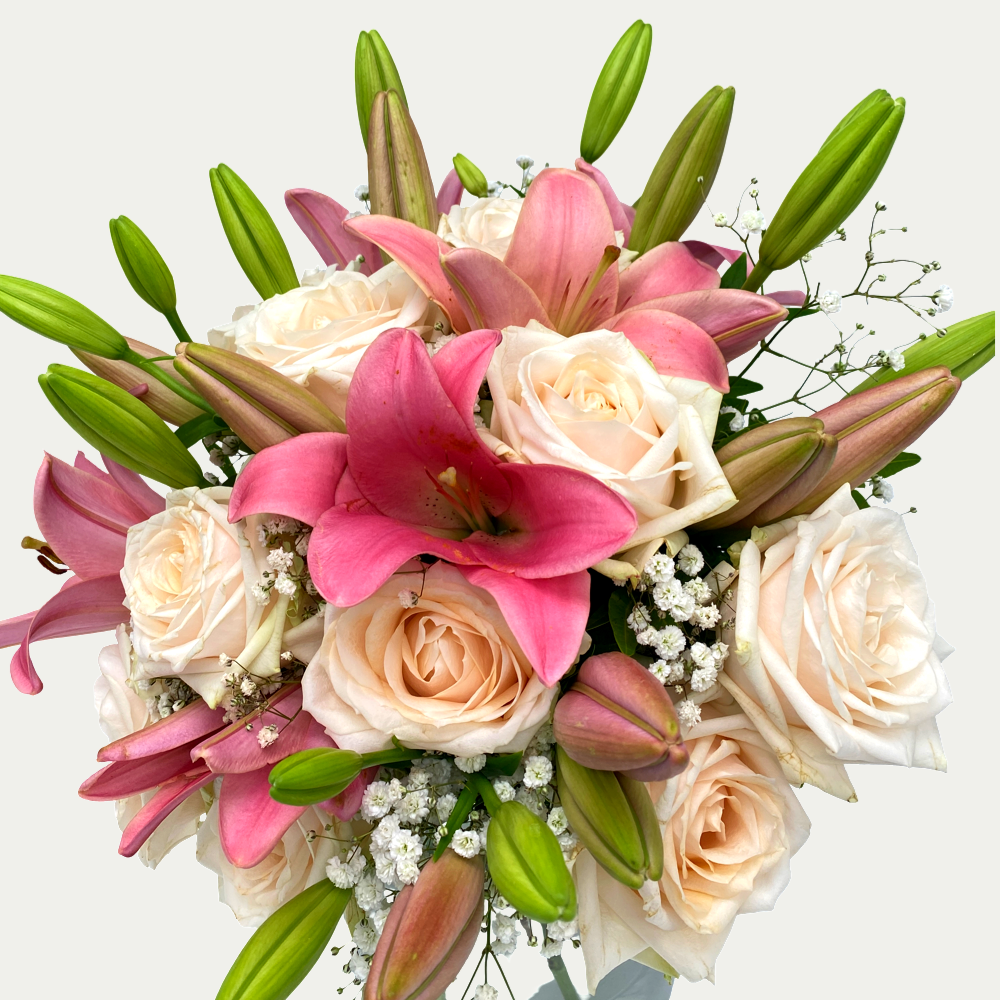 Rosa Eleganz