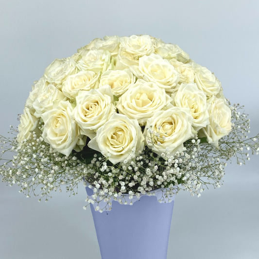 Weiße Rosen