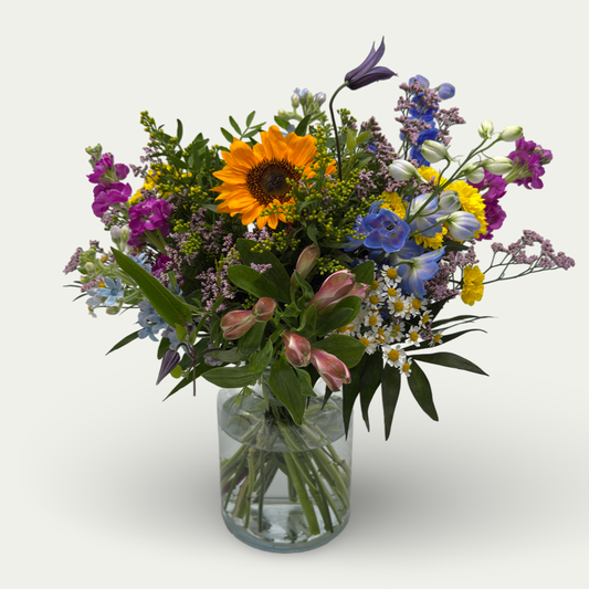 Bunte Sommerwiese