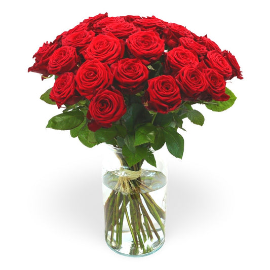30 Rosen in rot